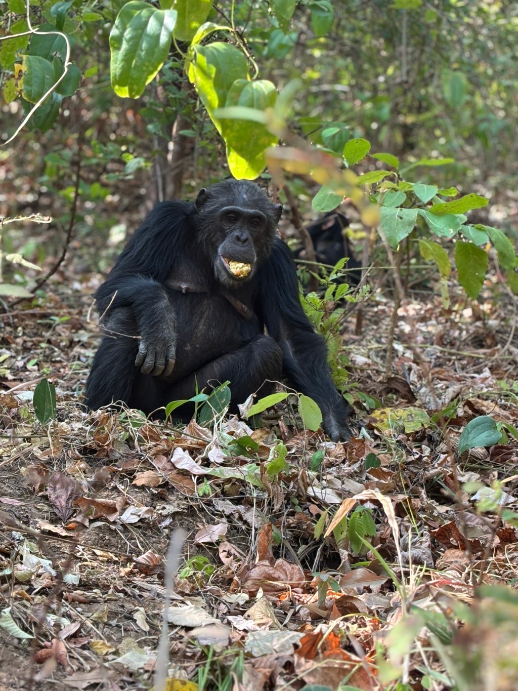 🌍🐾 世界の動物・昆虫ニュース —&nbsp;2026.04.21