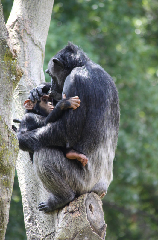 🌍🐾 世界の動物・昆虫ニュース —&nbsp;2026.05.09