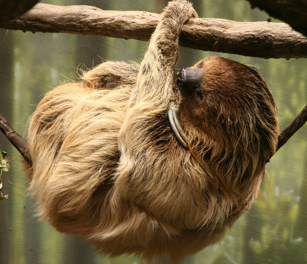 🌍🐾 世界の動物・昆虫ニュース —&nbsp;2026.05.07