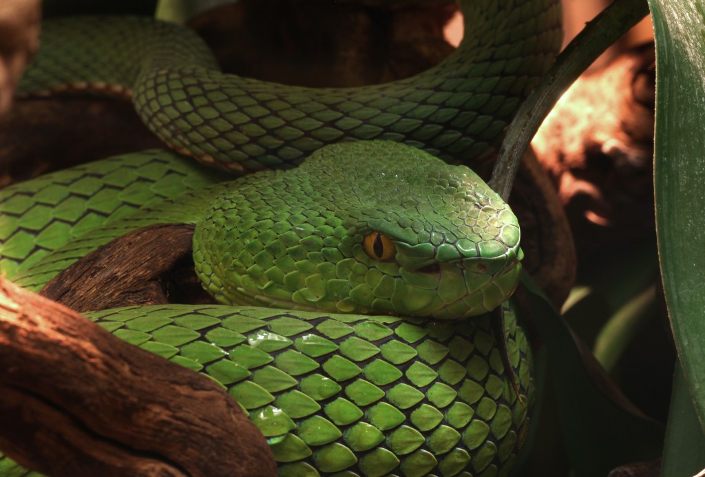 🌍🐾 世界の動物・昆虫ニュース — 2026.06.23