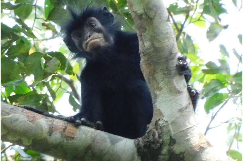 🌍🐾 世界の動物・昆虫ニュース — 2026.08.21